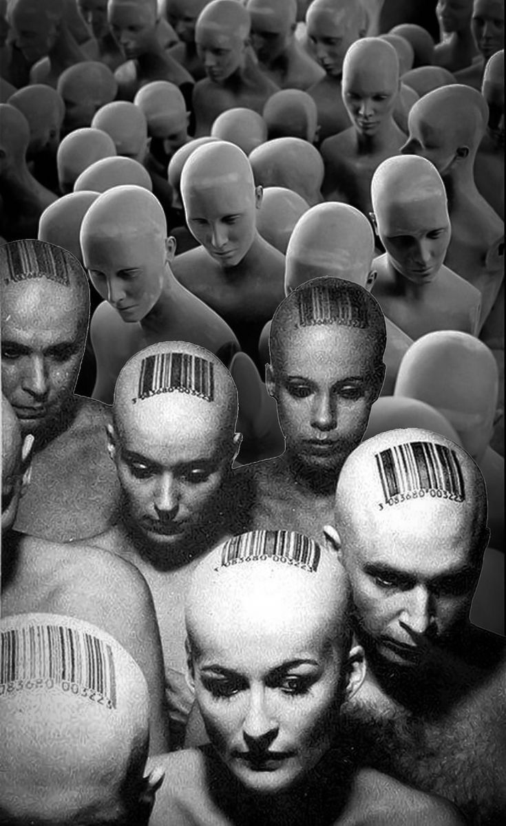 scam_society
